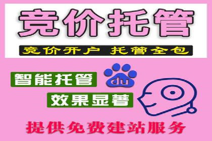 百度SEM竞价推广实战技巧，案例分享成功之道